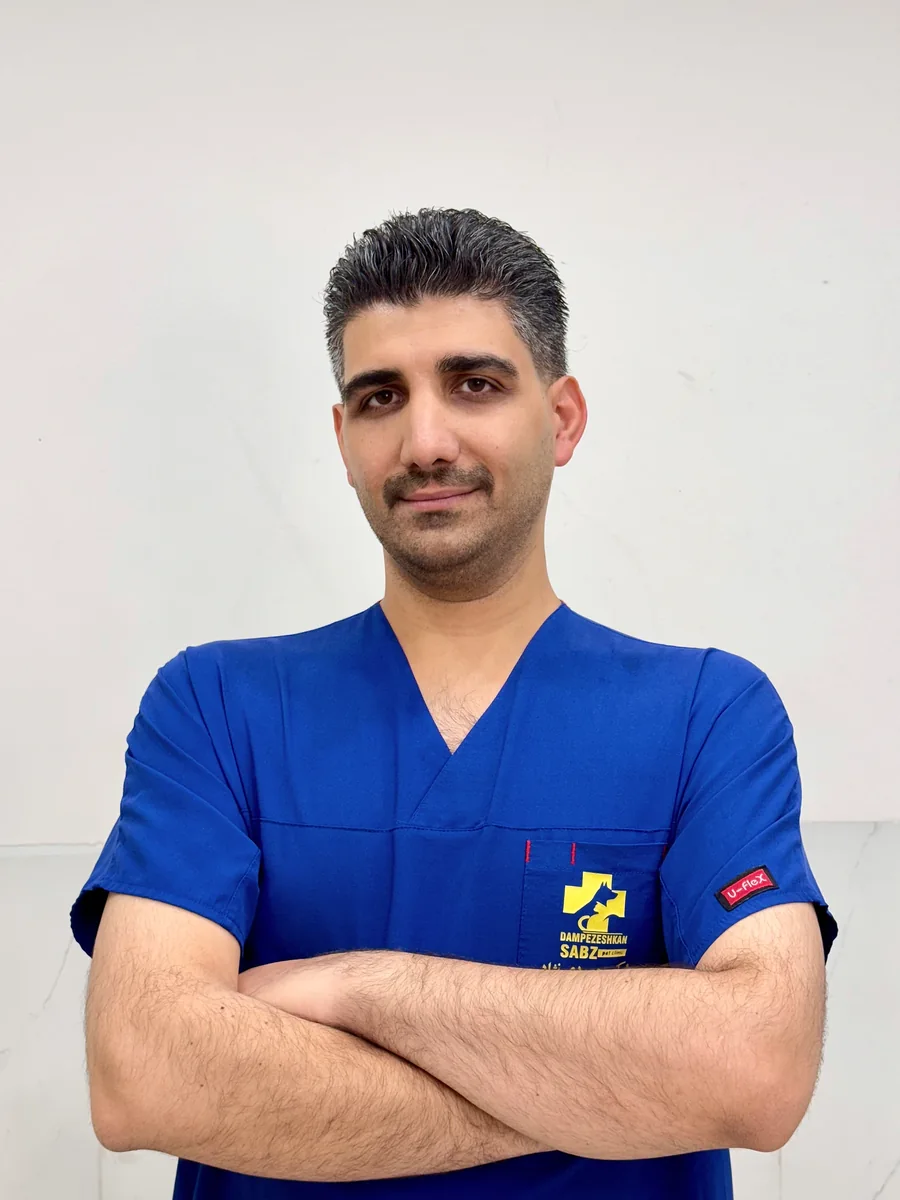 دکتر صلاح محمودی‌نژاد، جراح دامپزشک، با اسکراب آبی