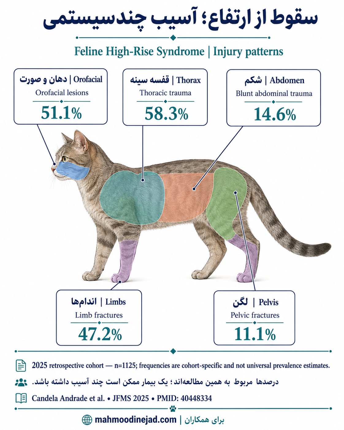 الگوی آسیبهای شایع در ۱۱۲۵ گربه مبتلا به High-Rise Syndrome