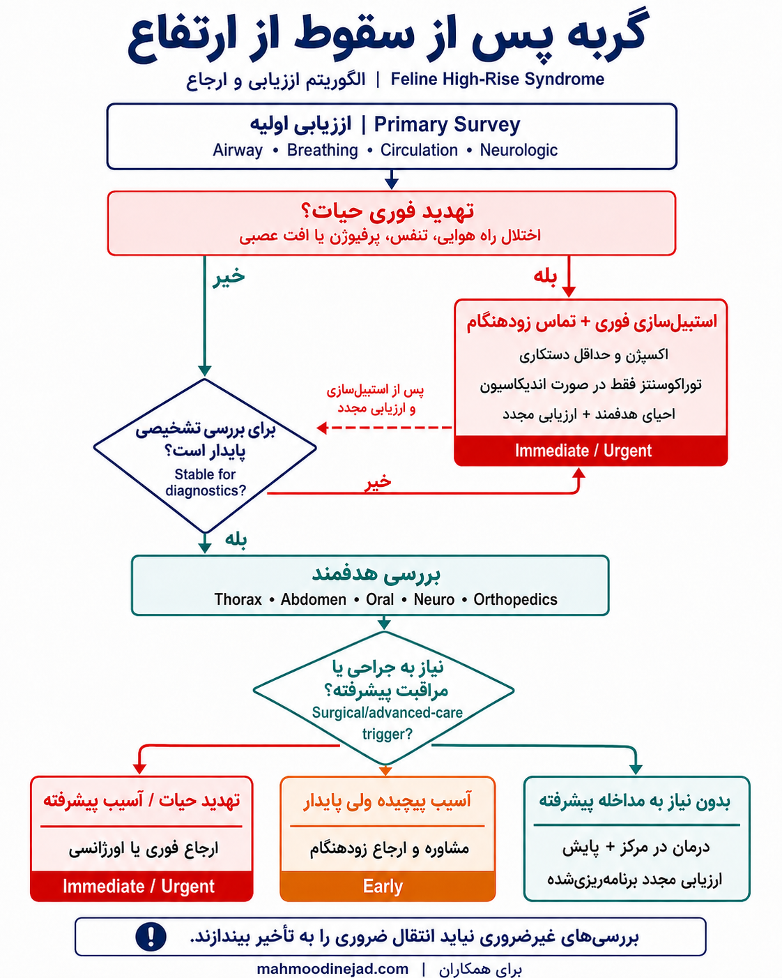 الگوریتم تریاژ، استیبلسازی و ارجاع گربه پس از سقوط از ارتفاع
